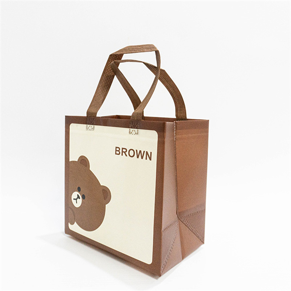 Why Ultrasonic Non Woven Bags Are the Sustainable Choice for Everyday Use