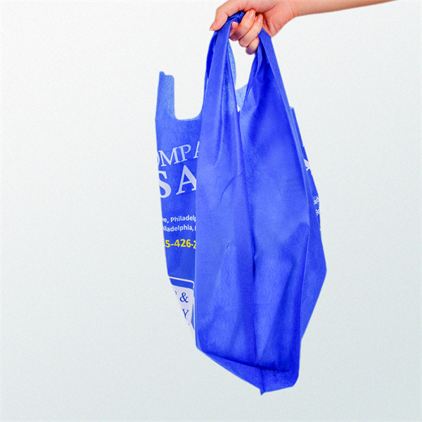 Eco-friendly alternative to single-use plastic bags