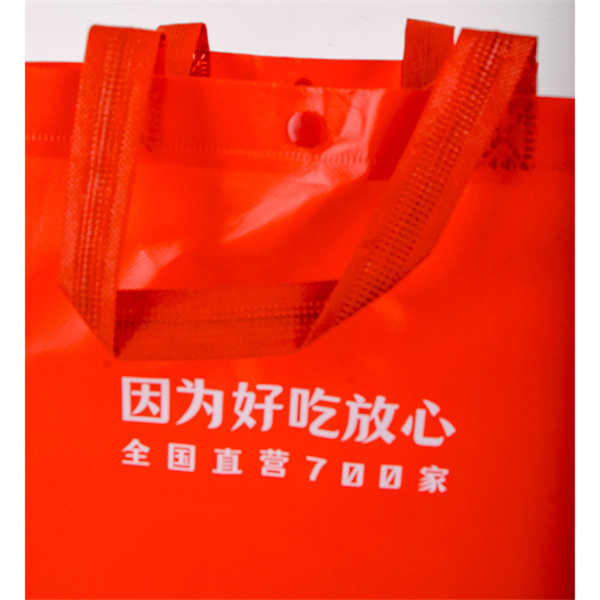 Say Goodbye to Single-Use Plastic and Hello to a Waterproof Eco Bag