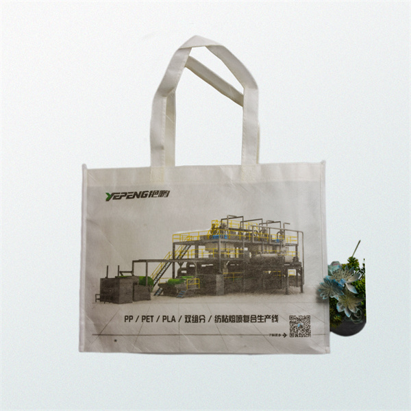 Upgrade Your Shopping Experience with White Reusable Bags.