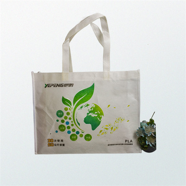 Practical and reusable shopping essential
