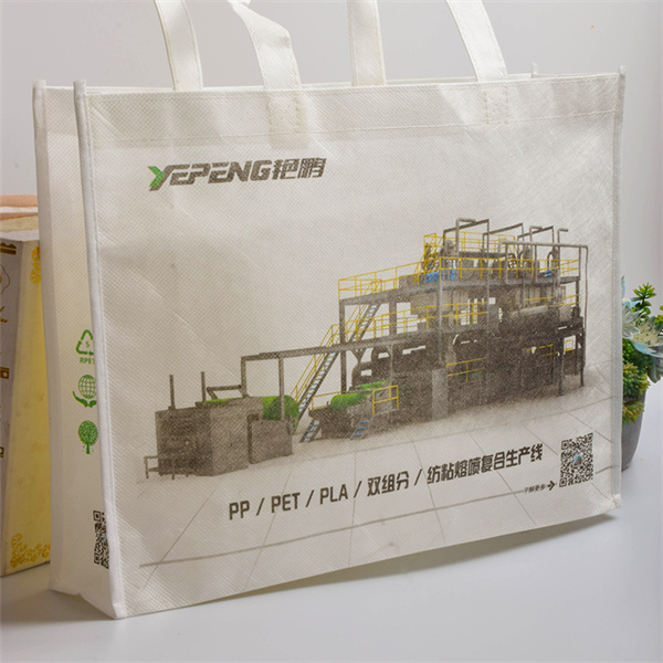 Say goodbye to single-use plastic bags