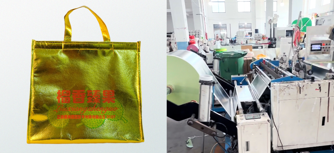 thermal bags vs cooler boxes which is better/