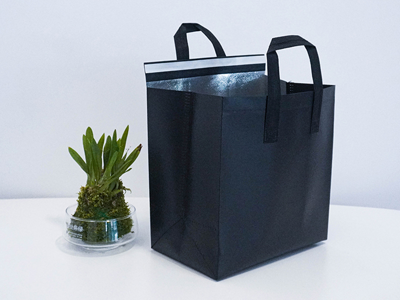 future trends in reusable and ecofriendly bag industry