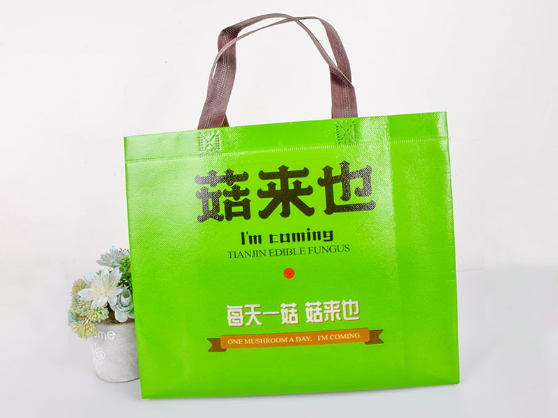 The Ultimate Guide to Non-Woven Bags: Benefits, Uses, and Sustainability-1