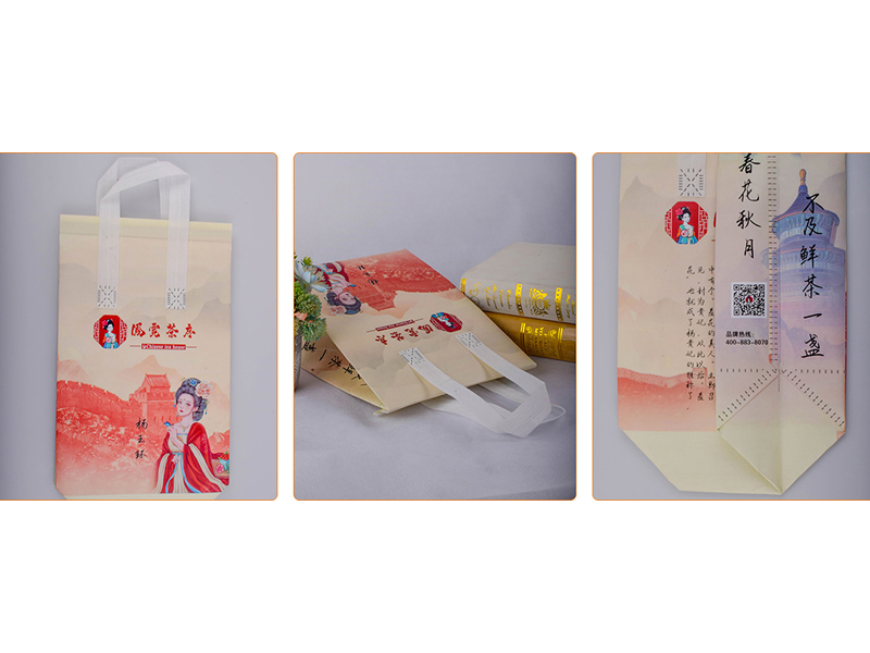 Affordable non-woven bag (1)
