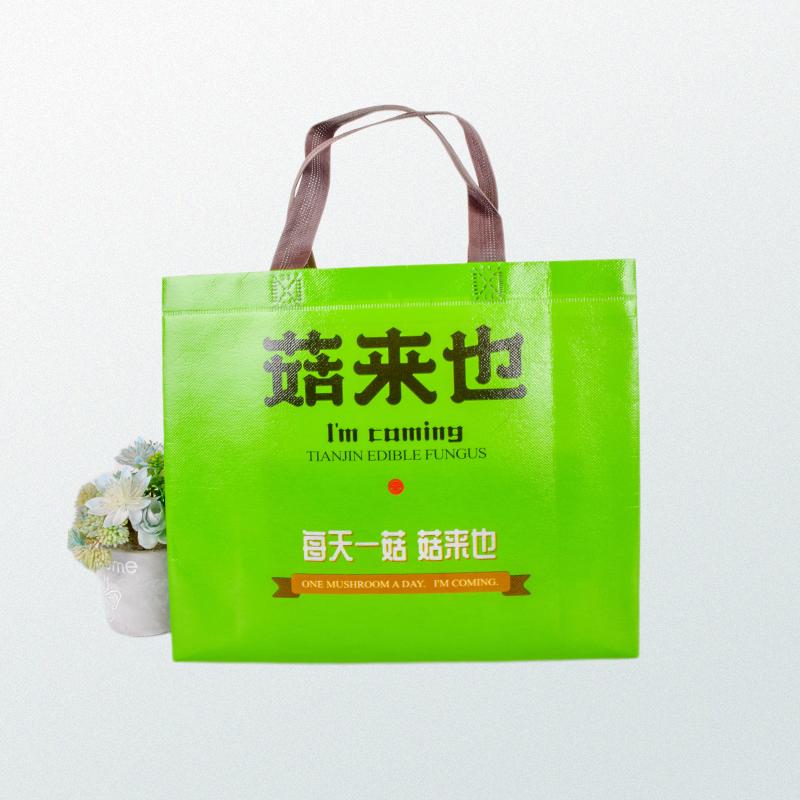 Eco friendly lunch bag