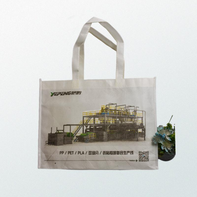 PLA reusable green shopping bags