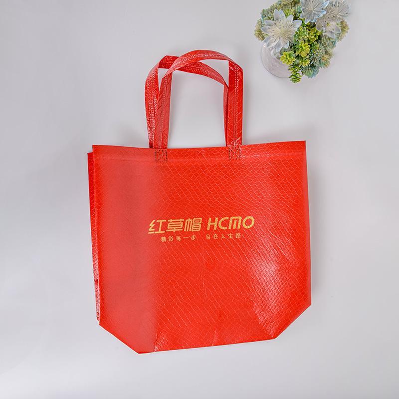 Personalized shoe and clothing shopping bag