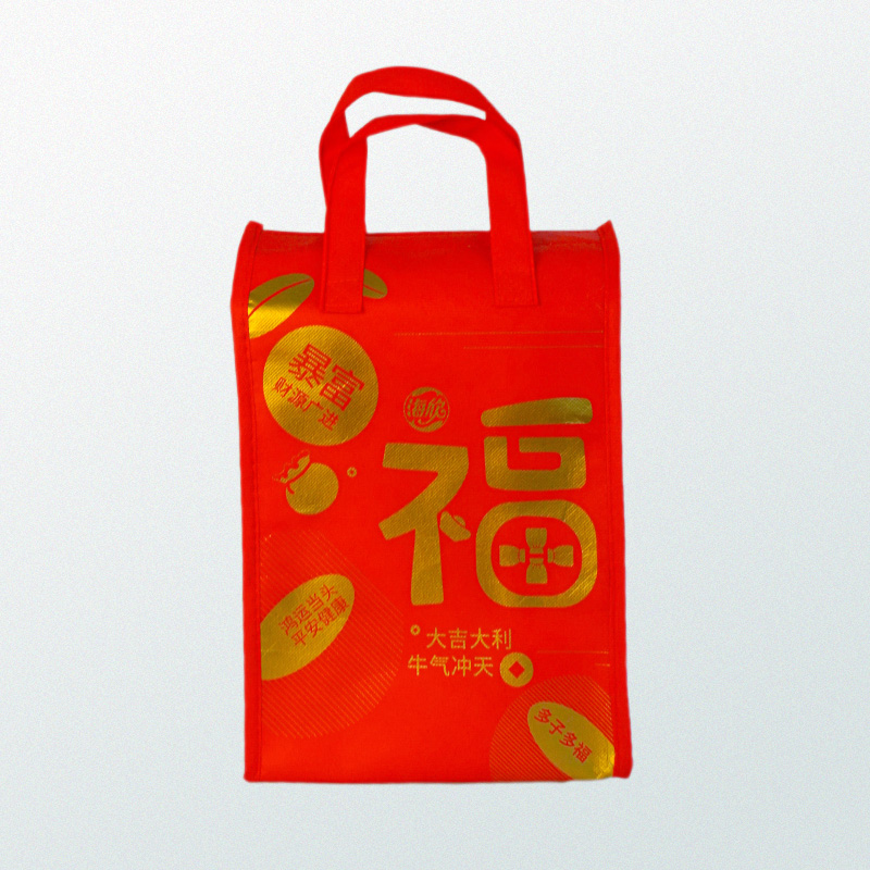 China laminated nonwoven bag