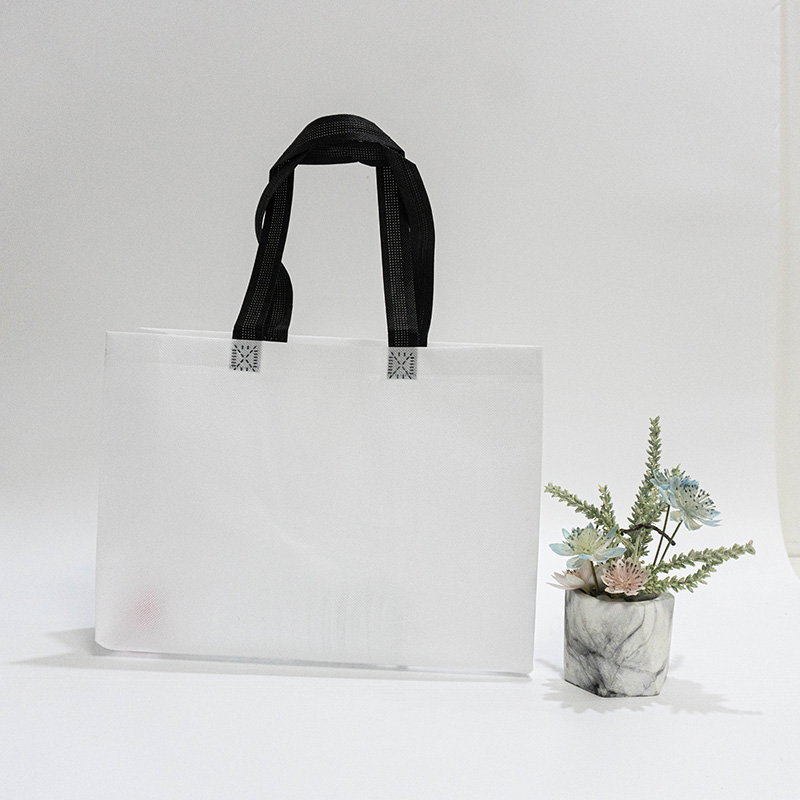 PLA biodegradable reusable shopping bag