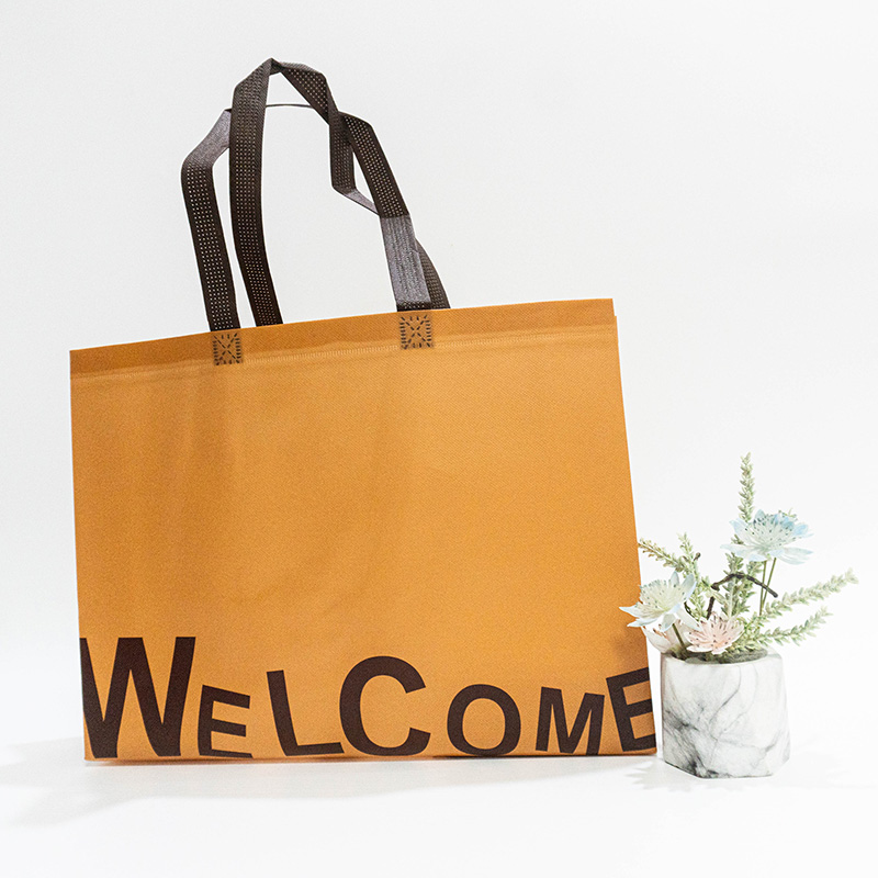 Large best eco friendly reusable bags for shopping