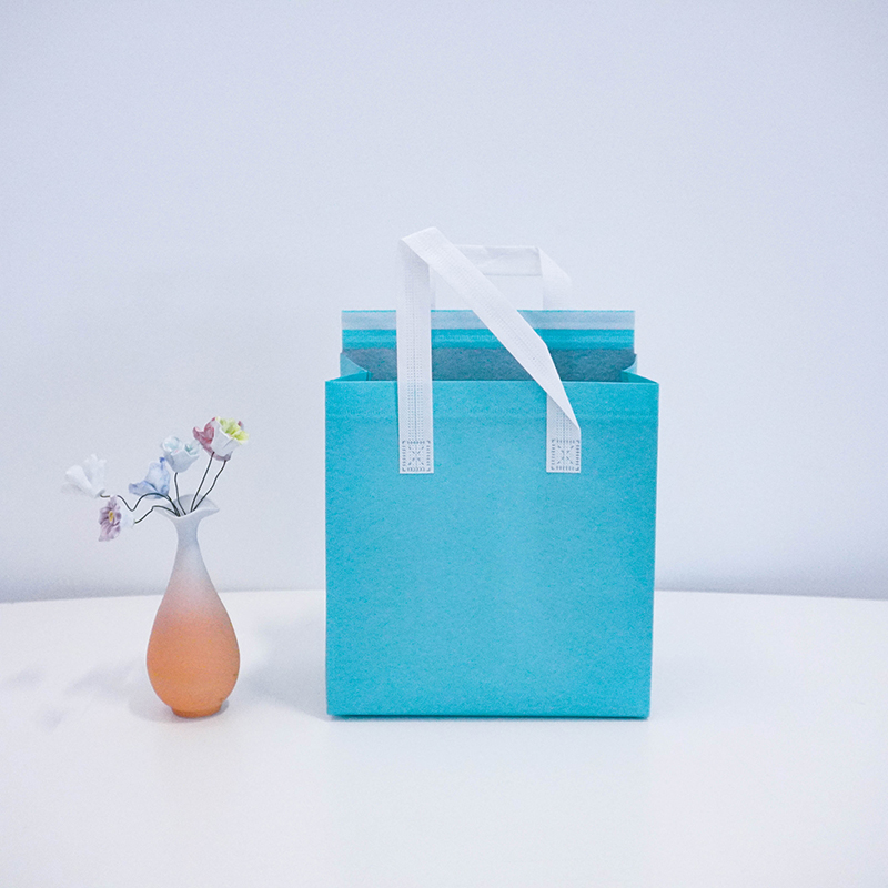 Sky blue non woven insulated bag