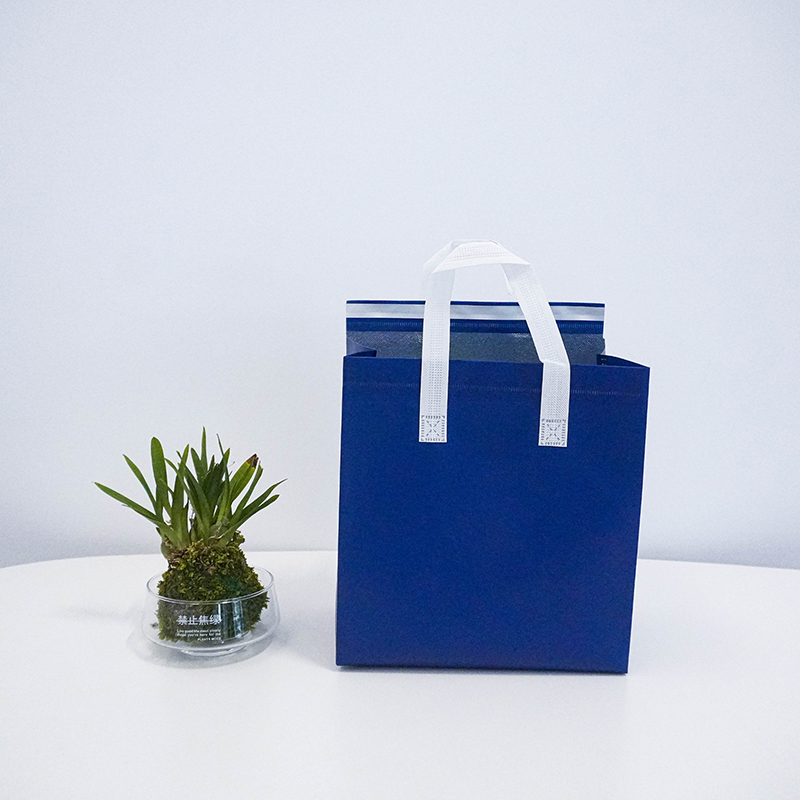 Navy Blue non woven insulated bag