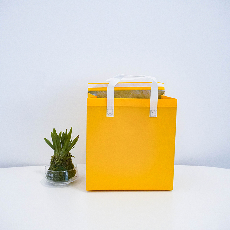 Customizable large-capacity yellow insulated bag