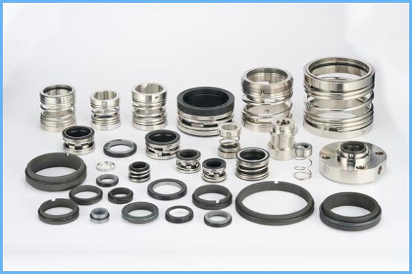 The importance of regular maintenance for a mechanical seal pool pump