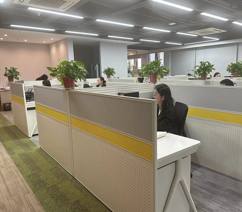Company environment