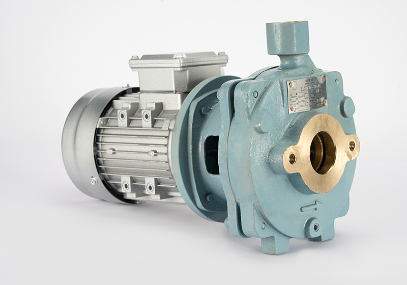 Fresh Water Pump
