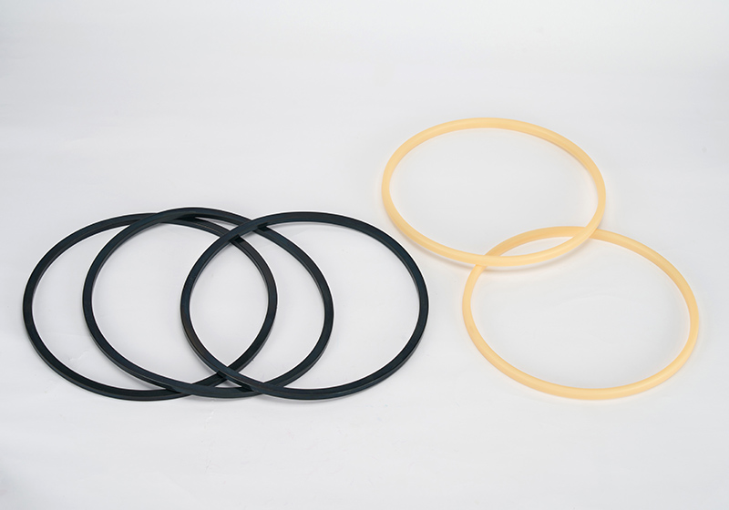 Purifier O-Ring