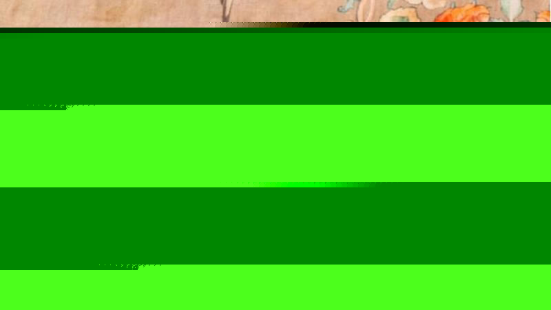 6-Nonwoven Masks Printed by Mengjis 2400mm Width Central Impression Flexo Printer