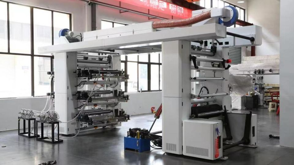 Flexo Printing Machinery for Dried Cranberries Paper Bag