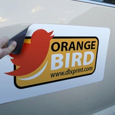 Magnetic Sticker