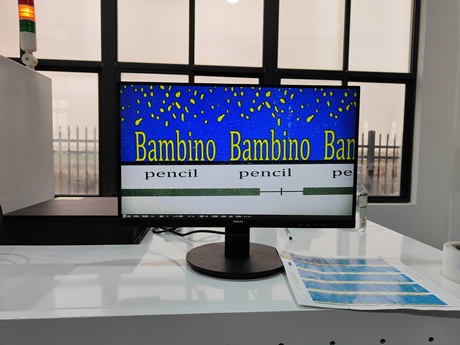 Video Inspection  System 2