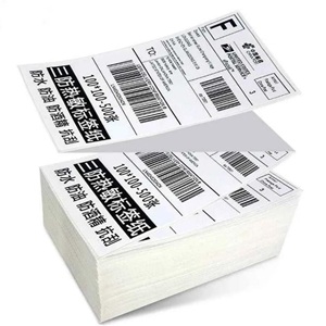 Paper Shopping Bags 10-Express Logistics Label
