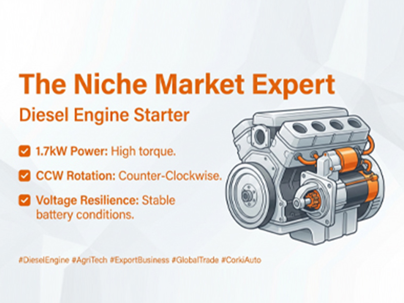 The Niche Market Expert