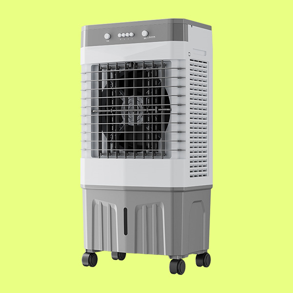 Pack Picnics and Camping Trips with an Outdoor Cooler