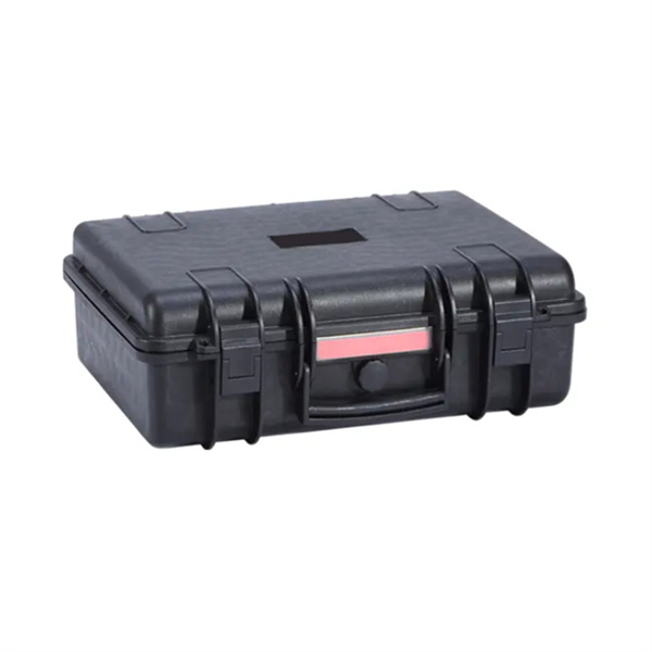 The Travel Case