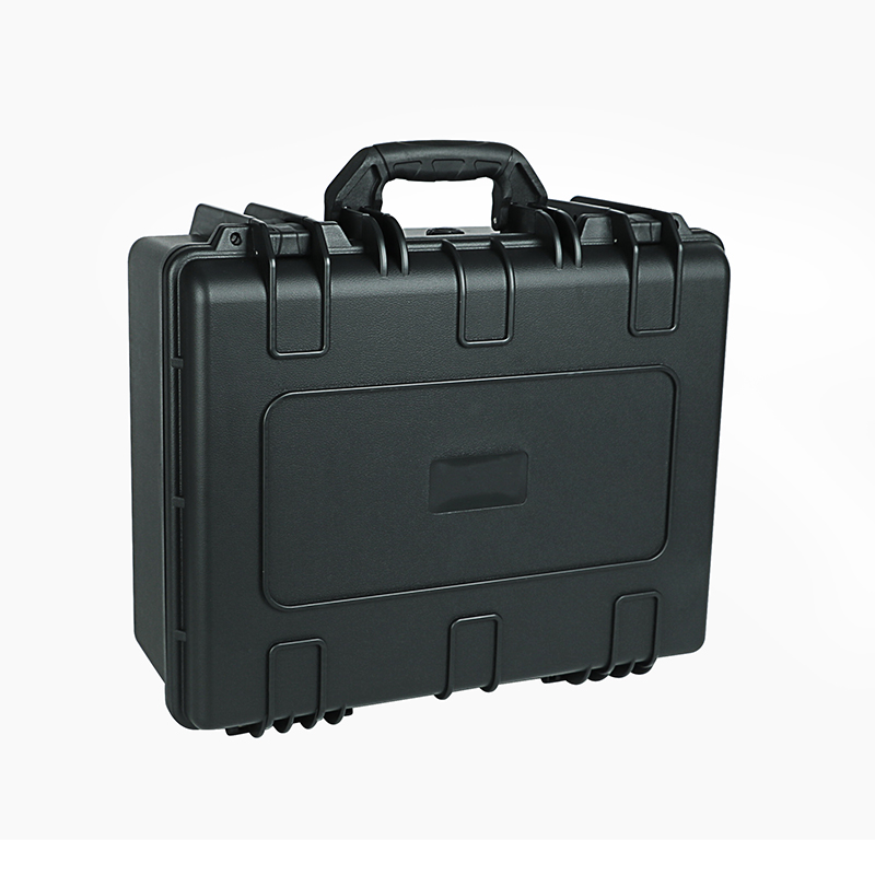 Medium Hard Plastic Travel Carrying Case (483721)
