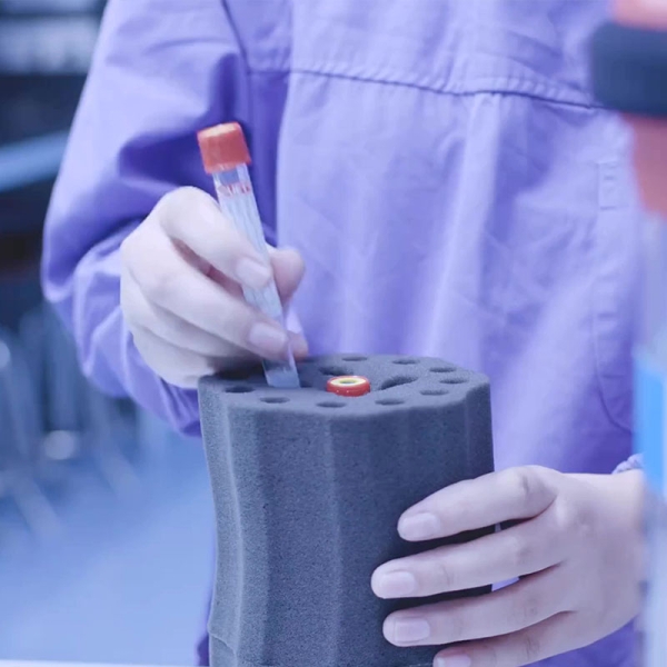 What Trends Are Shaping the Future of Air Tube Delivery Systems?