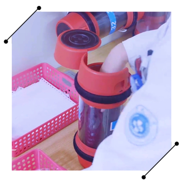 How to Optimize Your Workflow with Advanced Pneumatic Tube Technology