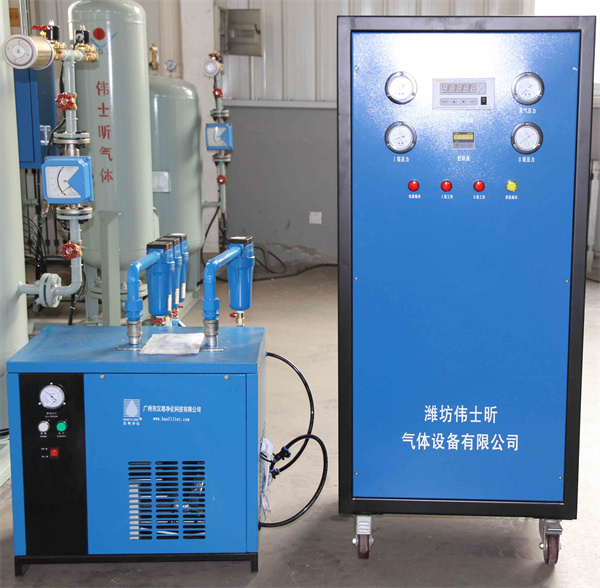 Enhancing Food Quality and Shelf Life with Nitrogen Generators