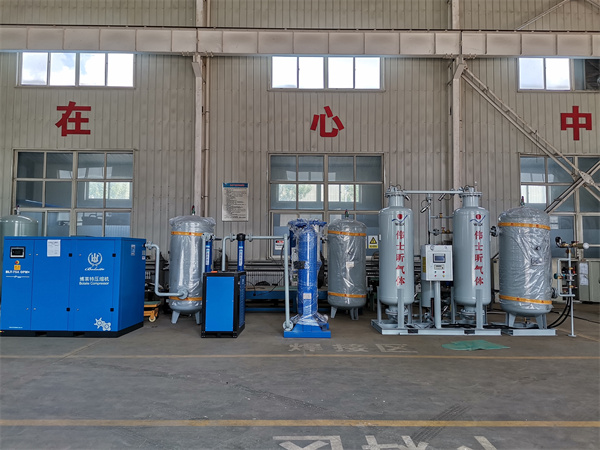 Troubleshooting Common Issues with Your Nitrogen Generator