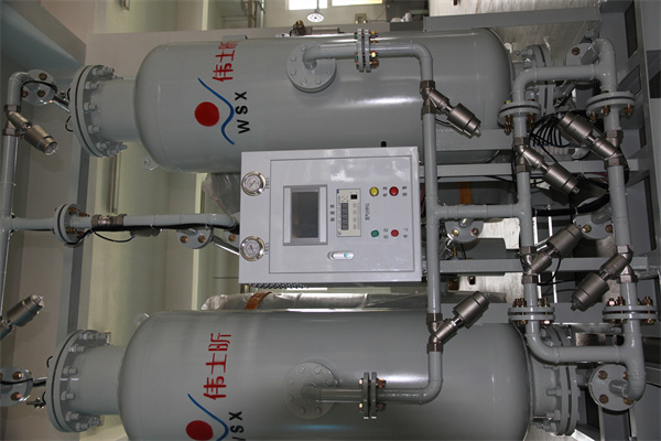 Exploring the Different Models and Features Available in Shandong Nitrogen Generators