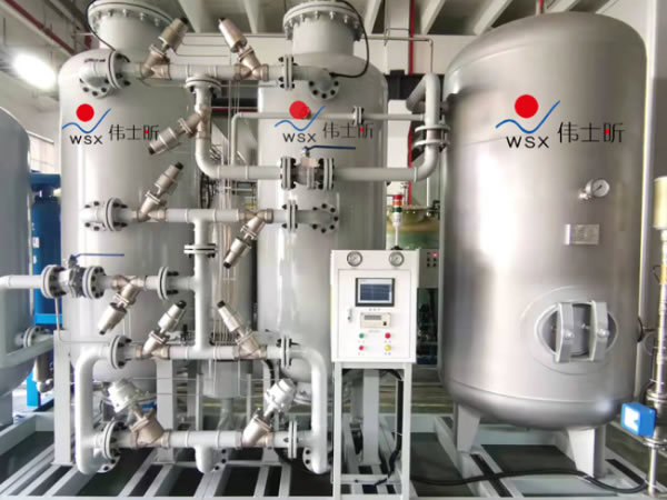 International customers visit our company for nitrogen production equipment acceptance