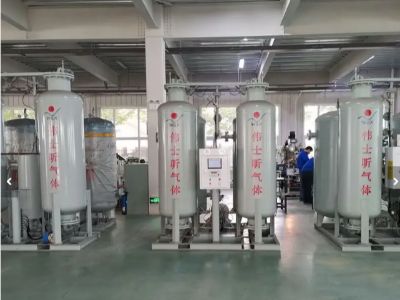Top Ten Brands of Nitrogen Generators Ranking