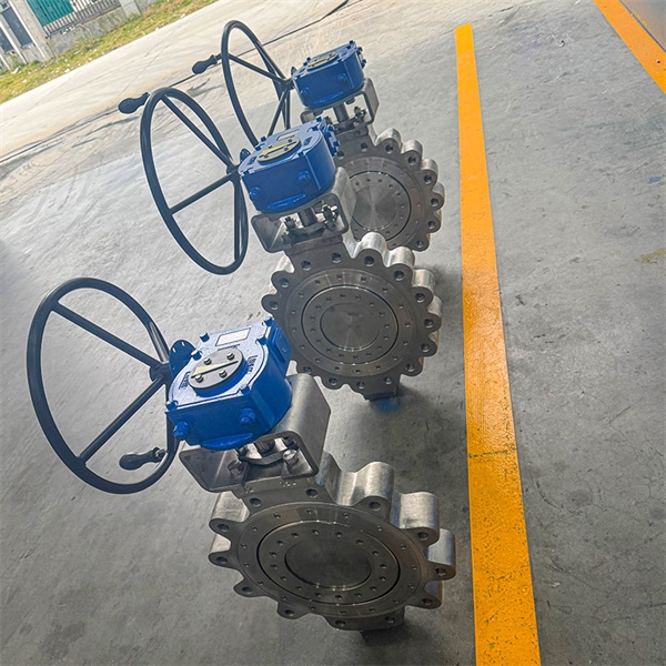 How to properly install and maintain a butterfly valve type lug