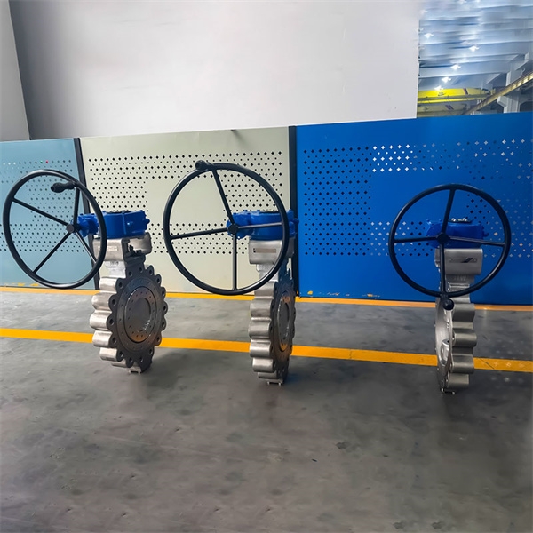 Exploring the different applications of a butterfly valve type lug