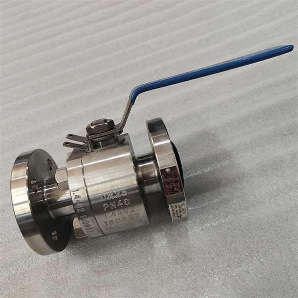 The Ultimate Guide to Selecting the Right SS Ball Valve for Your Needs