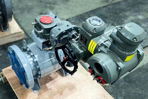 Congratulations JUDU receives praise from Pucobre Project