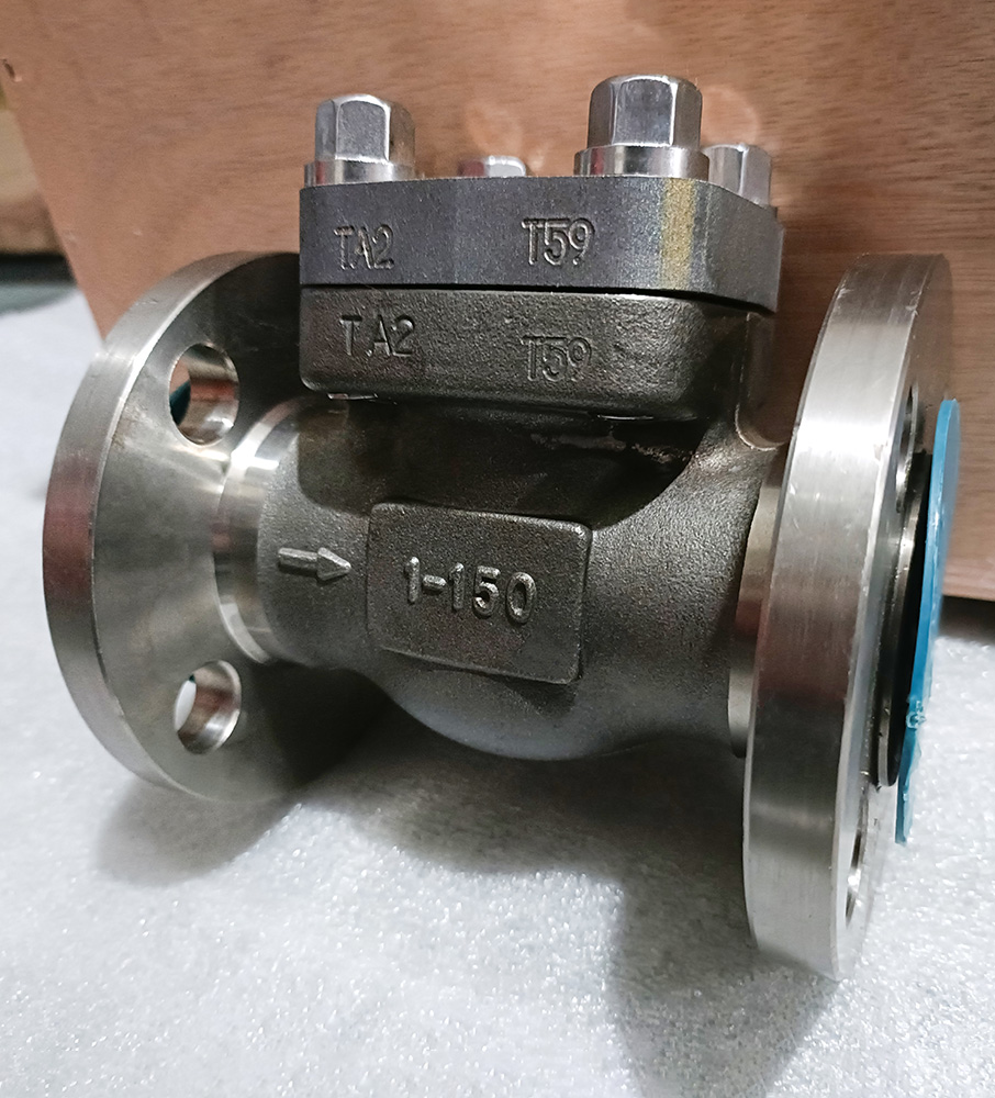 API602 Forged Check Valve