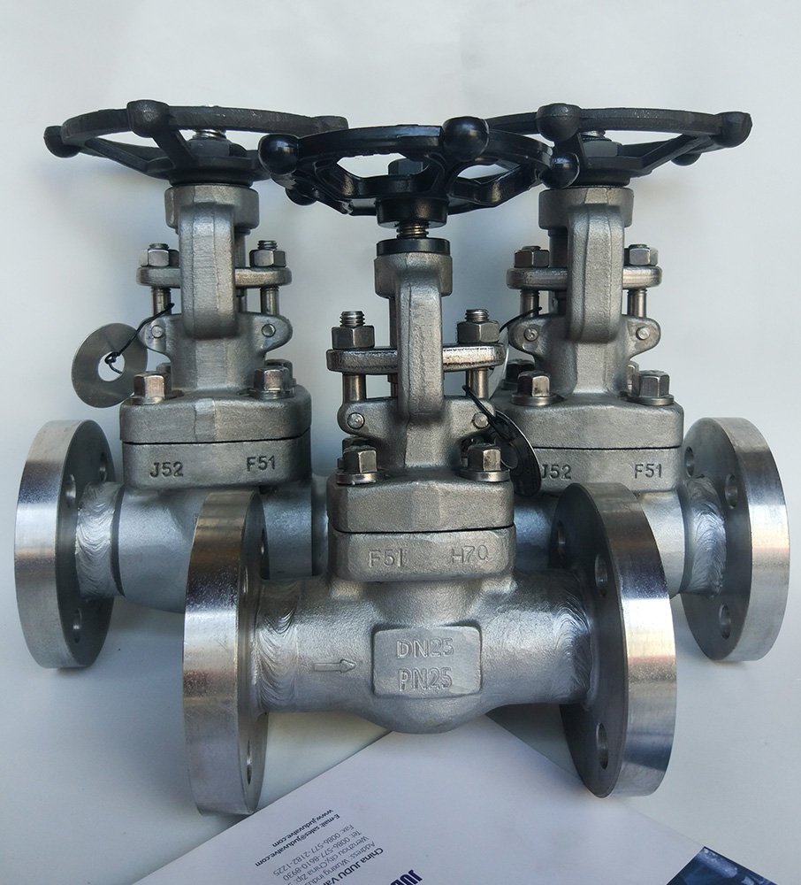 API602 Forged Globe Valve