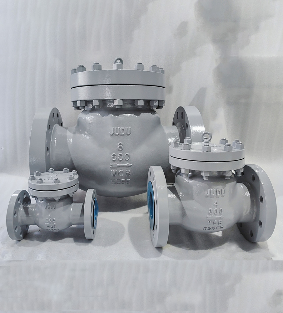 Swing Check Valve