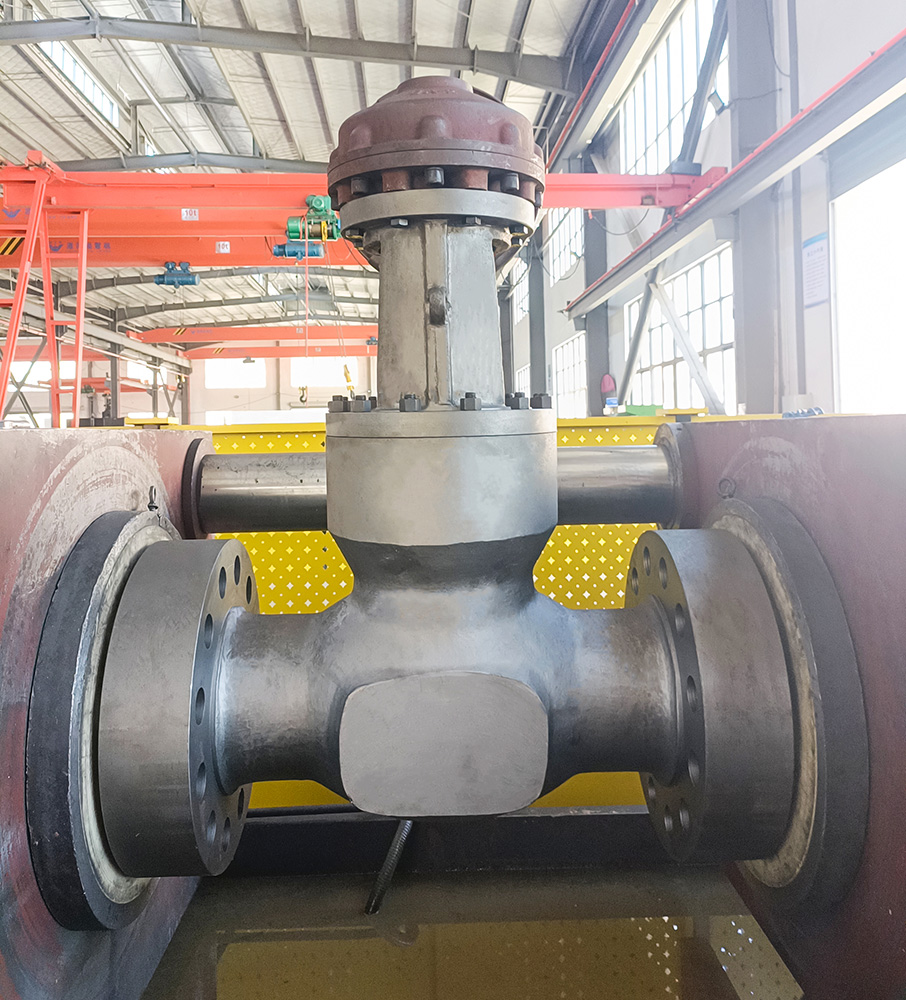 Pressure Seal Valve