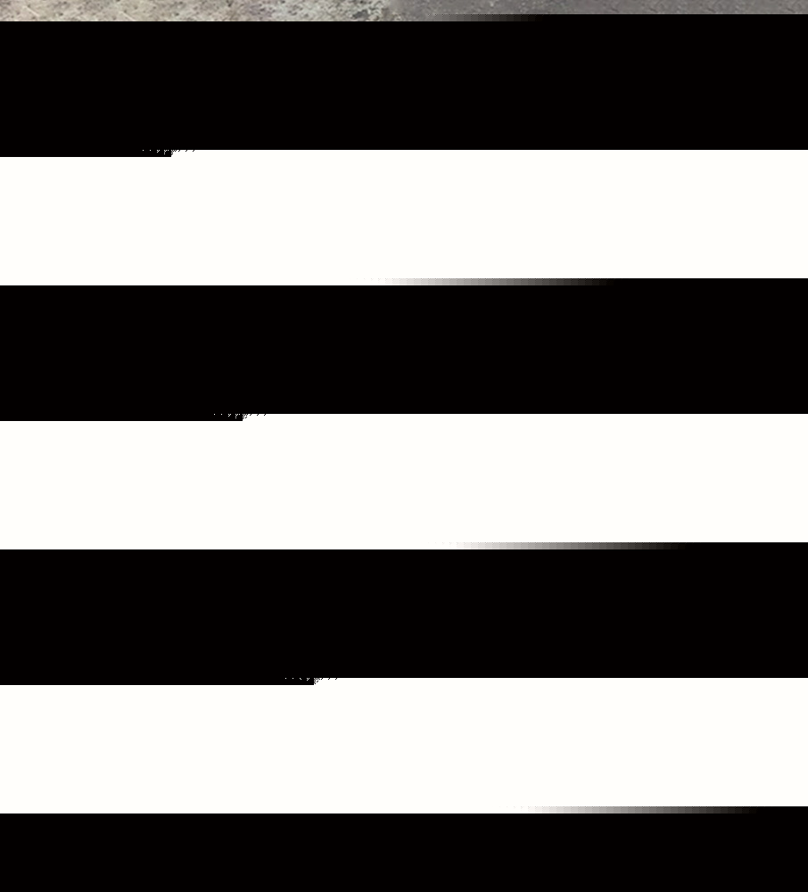 High Performance Butterfly Valve