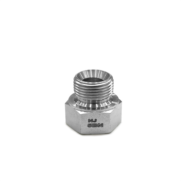 Make Plumbing Projects Simple with a British Thread to NPT Adapter