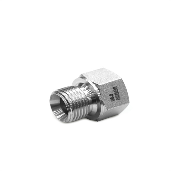 Achieve a Secure Connection with a British Thread to NPT Adapter